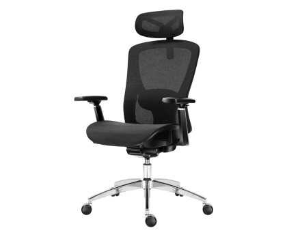 Fotel ergonomiczny Huzaro Expert 5.3 Black Mesh